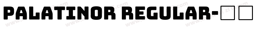 PalatinoR Regular字体转换